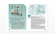 rainieri-articulator-pdf